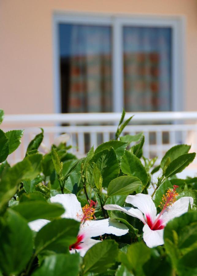 Diagoras Hotel All Inclusive Faliraki Luaran gambar